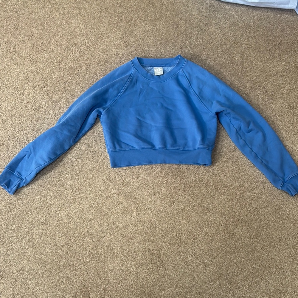 Blue Aritzia Cropped Sweatshirt